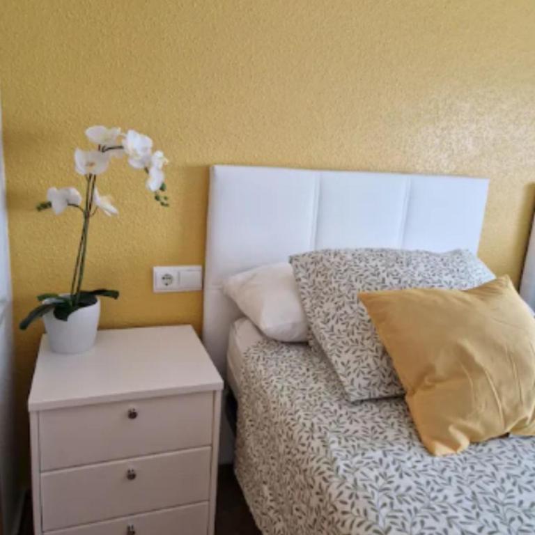 Devesa Park - Apartamento de 3 dormitorios - 13