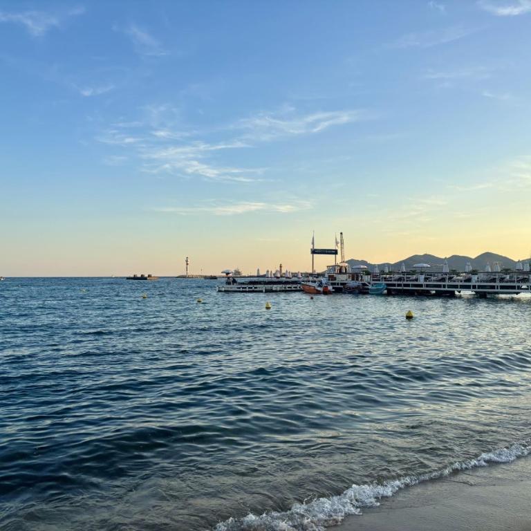 Appartement chaleureux à 2 pas de la Croisette - Estudio Superior - 16