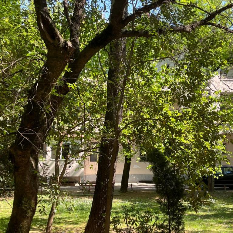City Green Oasis - Apartman sa 1 Spavaćom Sobom - 5