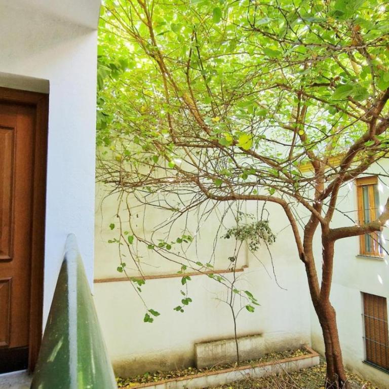 Las vides de moriles - Apartamento - 21
