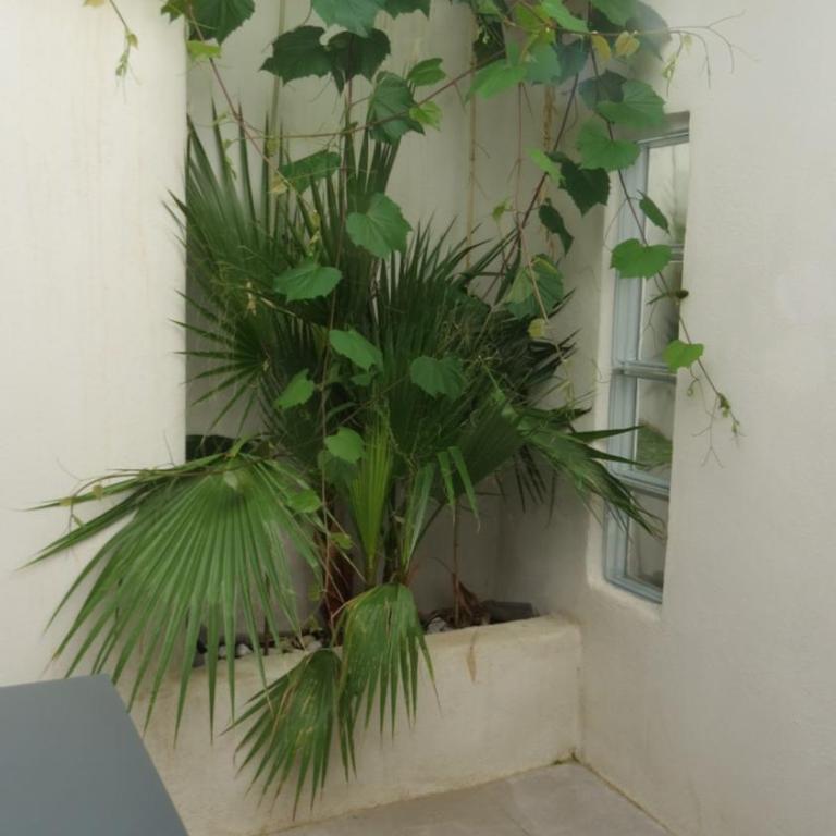 Maison avec cour en plein cœur d'Avignon - Casa con 3 Camere da Letto - 6