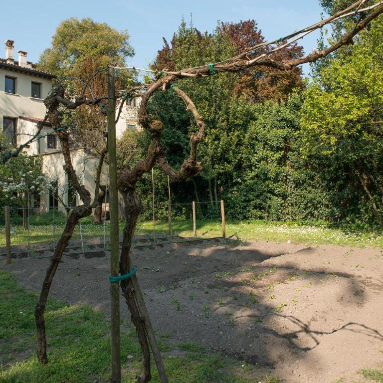 Il Giardino Segreto - Camera Tripla con Bagno Privato - 1