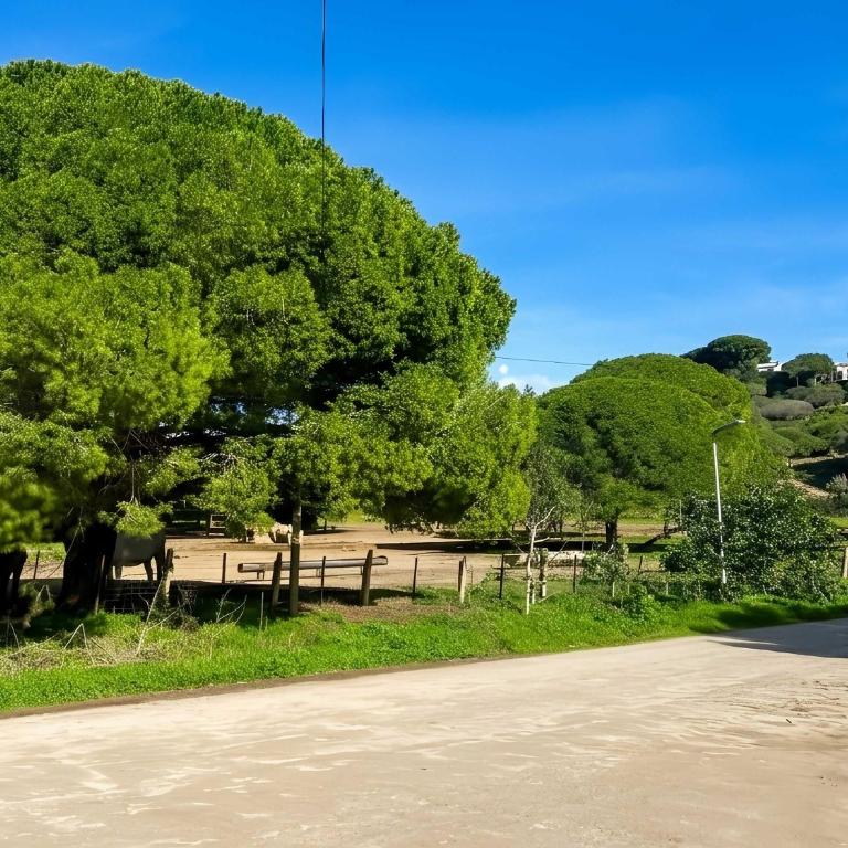 Apartamento con piscina privada Barbacoa y jardin en plena Naturaleza - Casa - 19