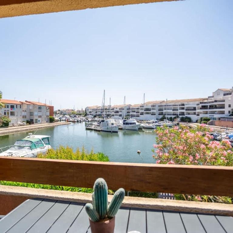 T2 avec terrasse vue sur le port - St-Cyprien - Apartment - 1