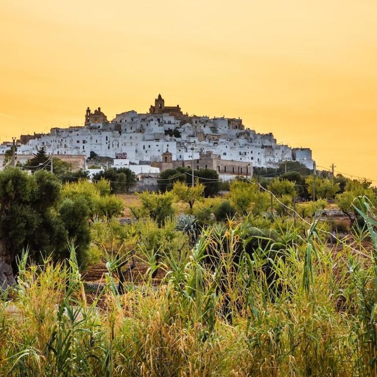 Stunning hilltop Trullo with pool and large garden - Two-Bedroom House - 44