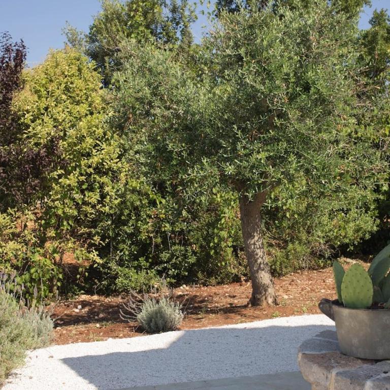 Stunning hilltop Trullo with pool and large garden - Two-Bedroom House - 16