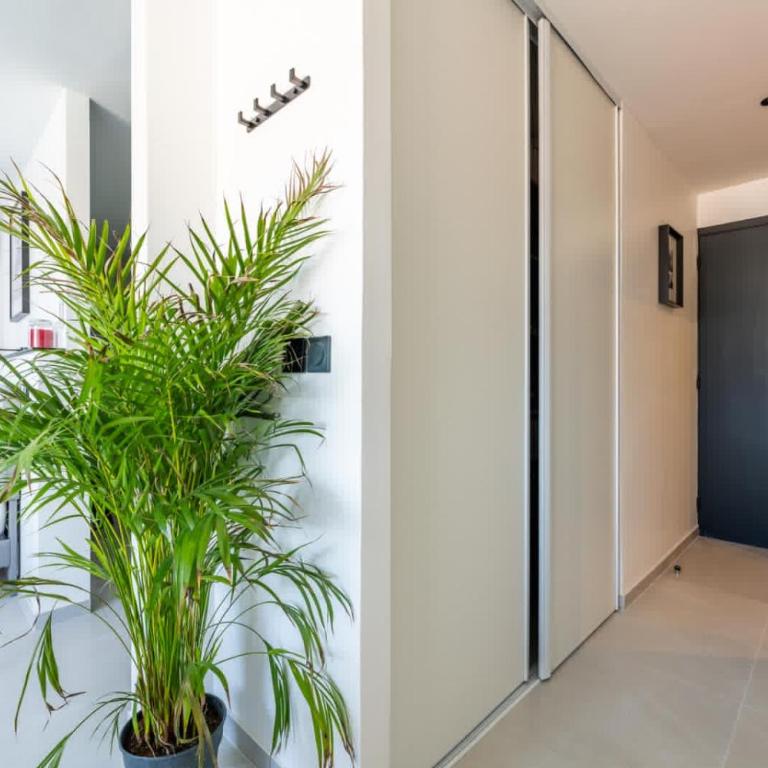 Cannes Clairfontaine - Appartement - 6