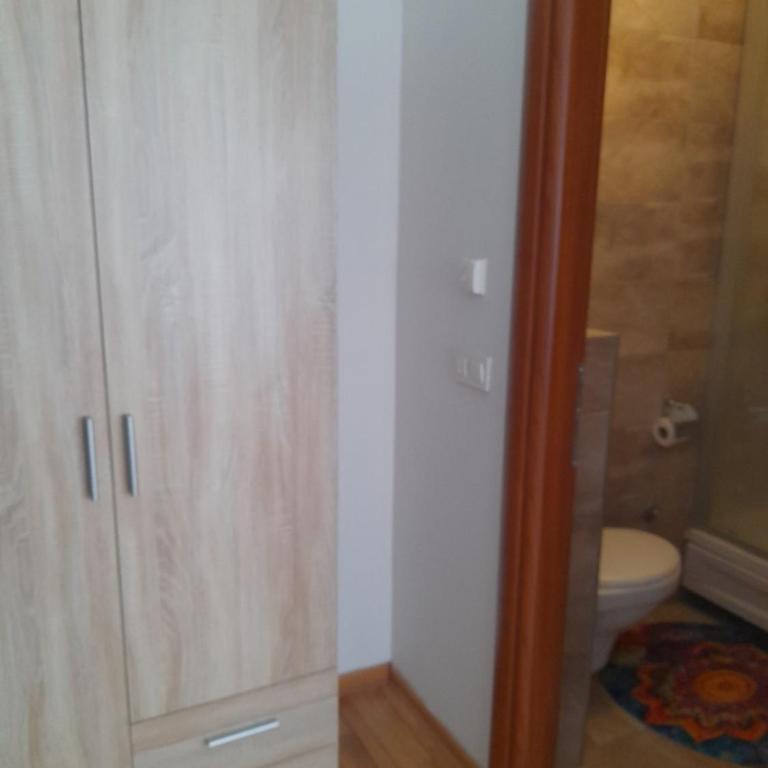 Skenderija Central Embassy Apartments - Deluks Apartman s 1 Spavaćom Sobom - 7