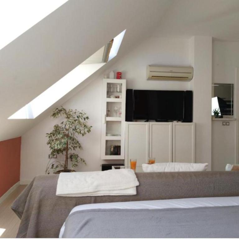 Estudio Jaen 1 - Apartamento de 1 dormitorio - 1
