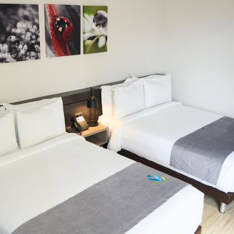 Hotel Vivre - Habitación Doble - 2 camas dobles - 5