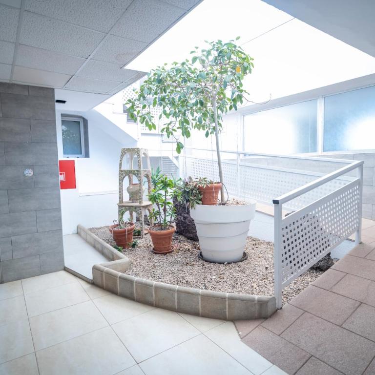 Edificio Prieto VIV 2E - Apartamento - 37