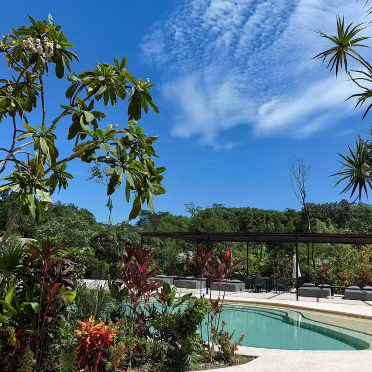Jungle Loft Patio Selva 4 Pools Beach Club - Apartamento Estudio - 19