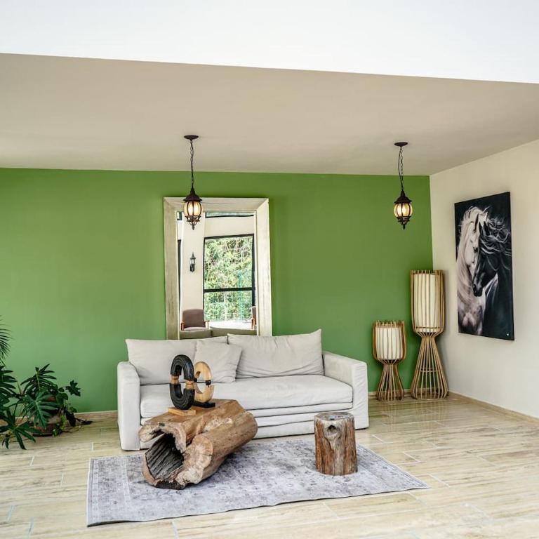 Jungle View Nest Selva Rooftop Beach Club - Apartamento de 1 dormitorio con balcón - 22