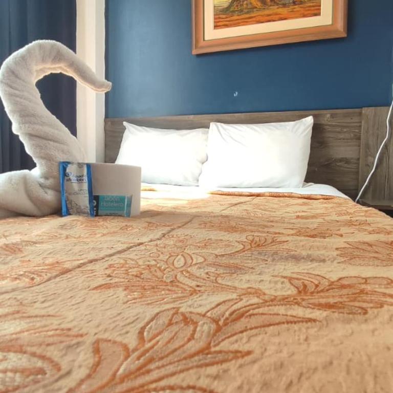 Hotel JORGE CHAVEZ - Single Room - 1