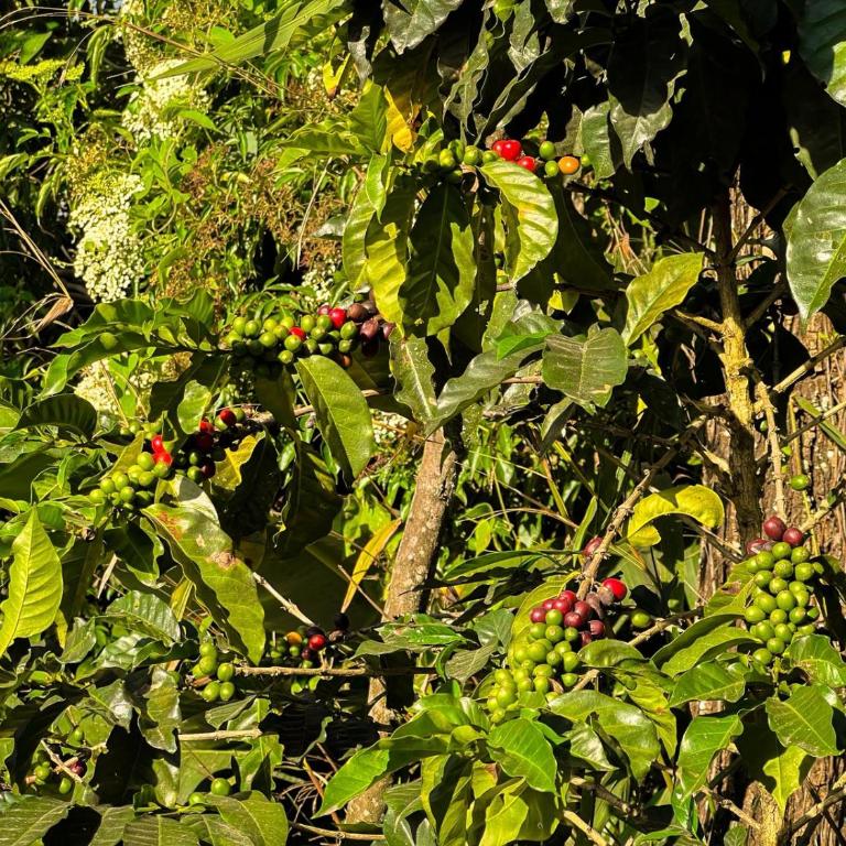 RUKU-casa cabaña - Casa de 2 dormitorios - 17