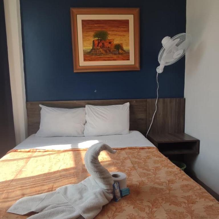 Hotel JORGE CHAVEZ - Single Room - 2