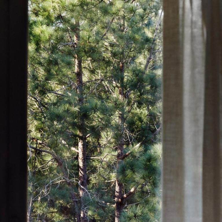 Eden by the Seaside Forest - Apartamento Suite de 3 dormitorios - 32