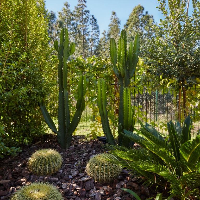 Eden by the Seaside Forest - Apartamento Suite de 3 dormitorios - 43
