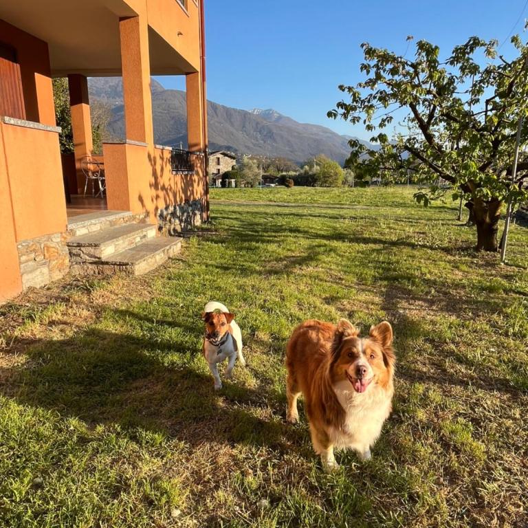 Appartamenti Gianelli - Appartamento con 2 Camere da Letto - 23