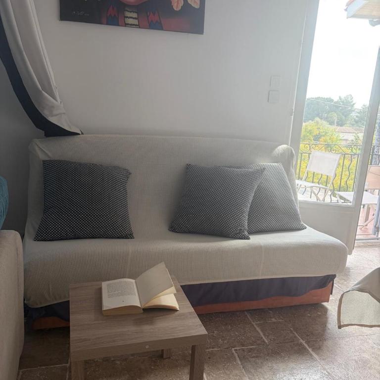 Grand Appt 6P climatisé dans villa avec piscine - 8 kms de Cannes - Appartement 2 Chambres - 28