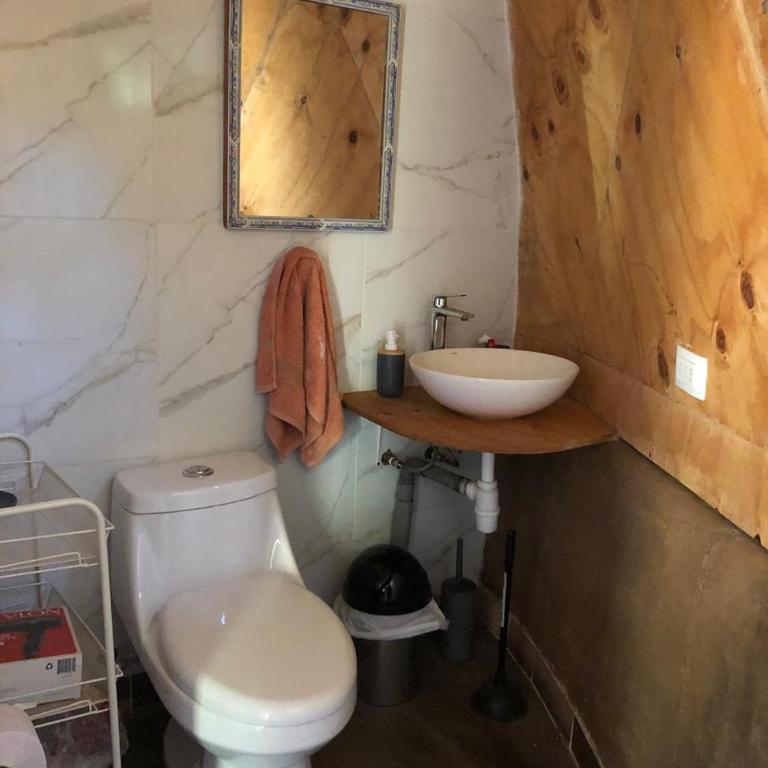 Domo en Olmue - Apartamento de 1 dormitorio - 17