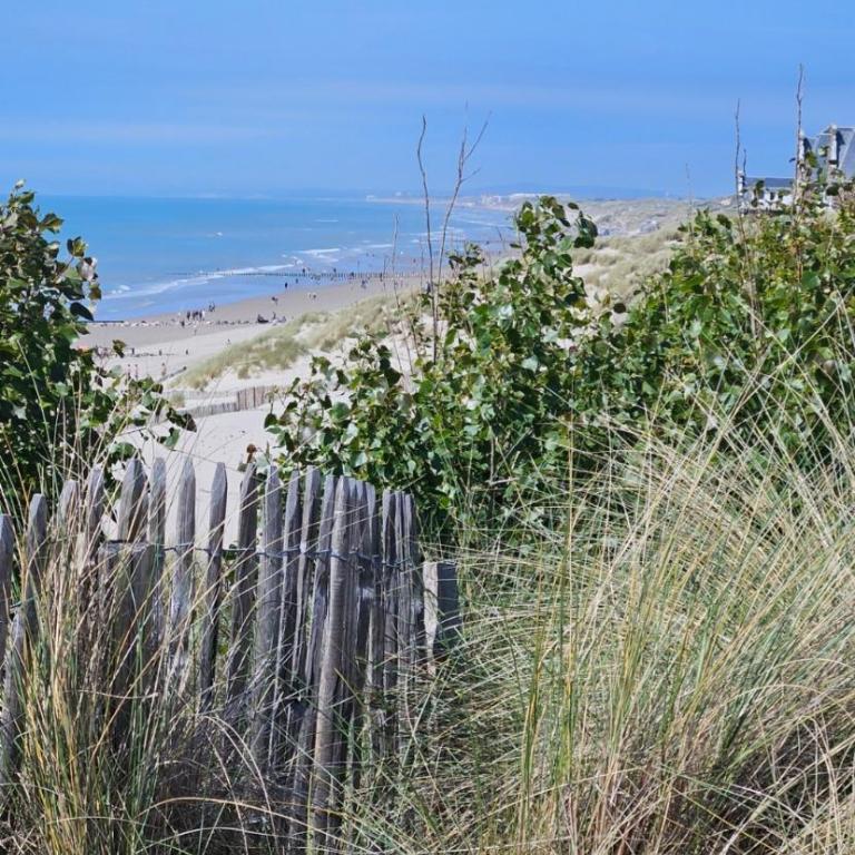 Au cœur de Berck plage - Appartement 1 Chambre - 10