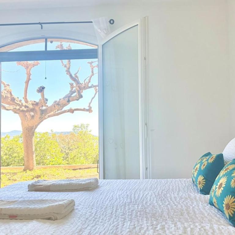 Villa Baia - Luxury House Seaview Near Cannes Pool - Villa - 19