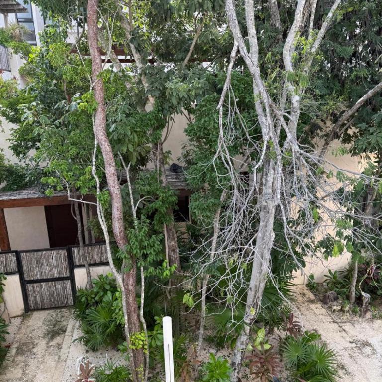 Brand New 2BR Condo in Gran Tulum - Apartamento de 1 dormitorio - 25