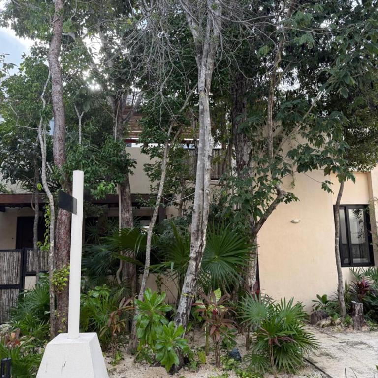 Brand New 2BR Condo in Gran Tulum - Apartamento de 1 dormitorio - 32