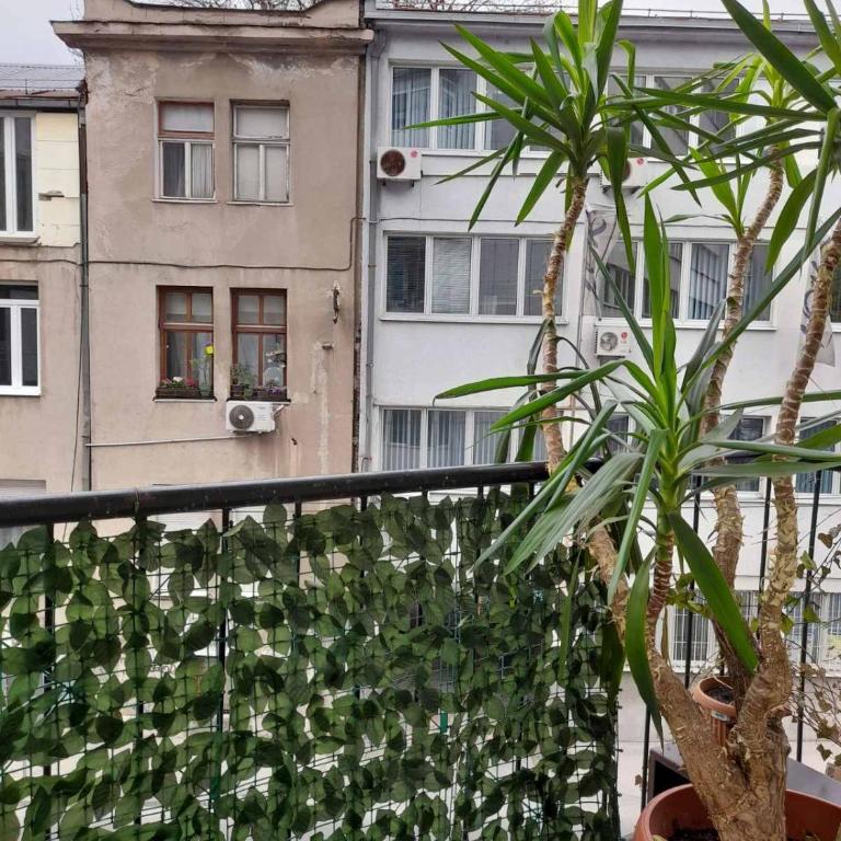 Skenderija Central Embassy Apartments - Superior Apartman sa Balkonom - 9