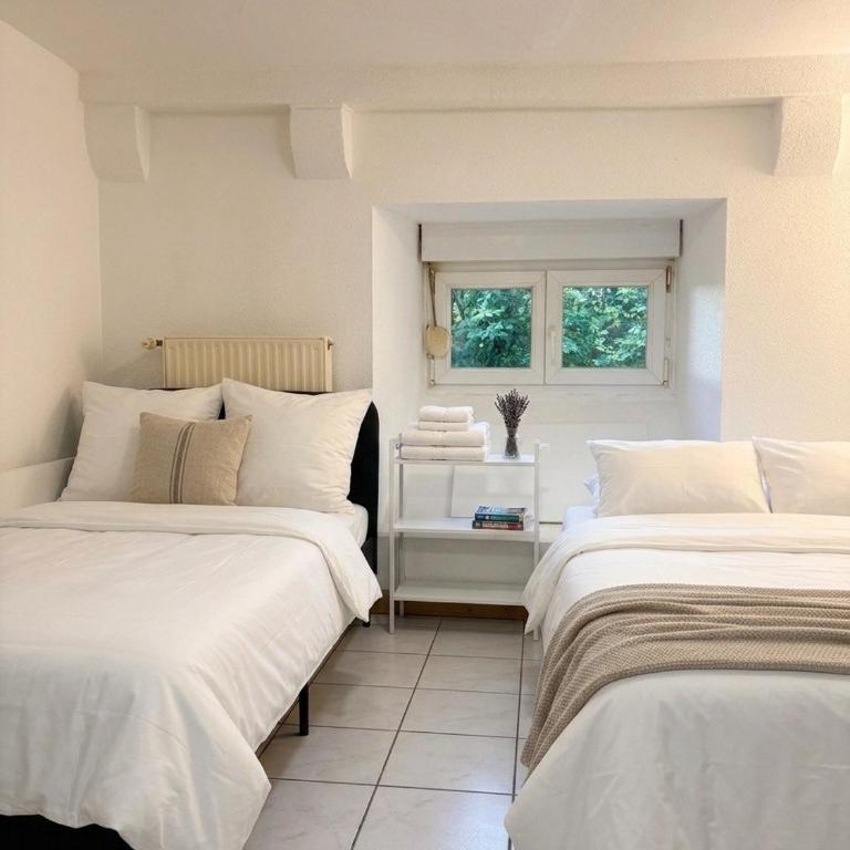 Studio Maison de Maître, Parking sur Place privé Free, MULHOUSE CENTRE - Estudio Superior - 3