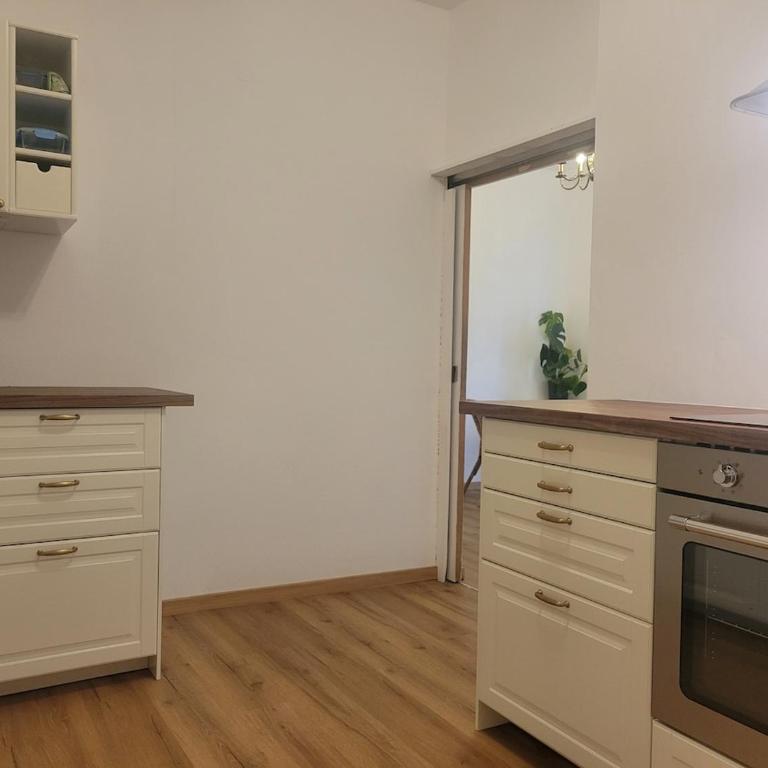 Ausseer Villa Felsenheim - 100 qm - Altbau mit Garten - Three-Bedroom Apartment - 15