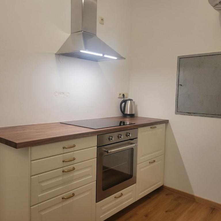 Ausseer Villa Felsenheim - 100 qm - Altbau mit Garten - Three-Bedroom Apartment - 16