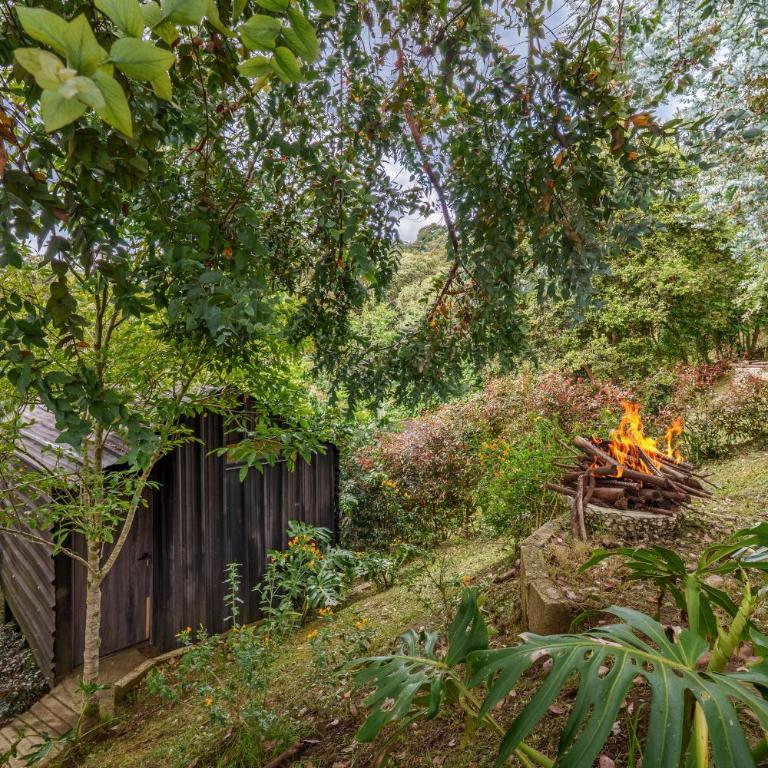 Tiny House La Silleta - Chalet de 1 dormitorio - 10