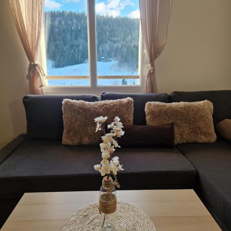 Duplex Étoilé Tout Confort Aux Pieds Des Pistes - Gérardmer - Appartement avec Vue sur la Montagne - 3