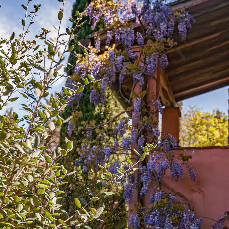 Agriturismo Settesoldi - Junior Suite con Balcone - 50
