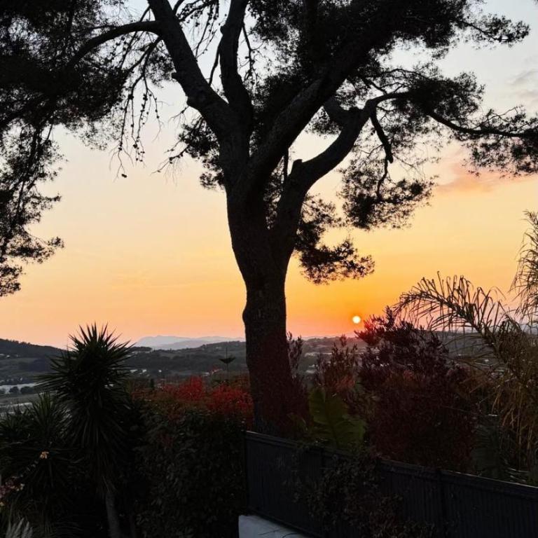 Le cocon de douceur entre pins et Méditerranée - Appartement 1 Chambre - Vue sur Jardin - 19
