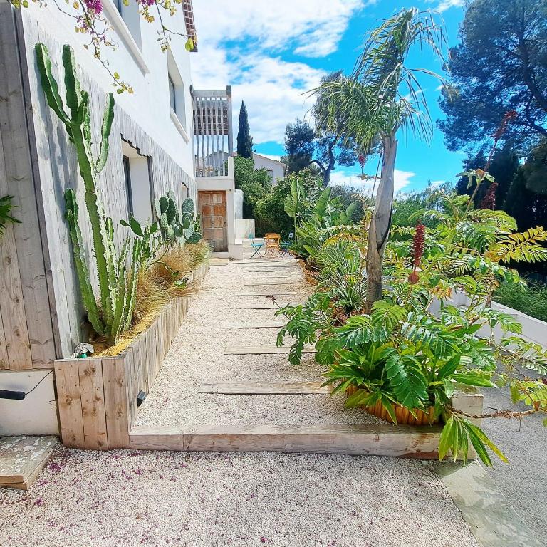 Le cocon de douceur entre pins et Méditerranée - Appartement 1 Chambre - Vue sur Jardin - 6