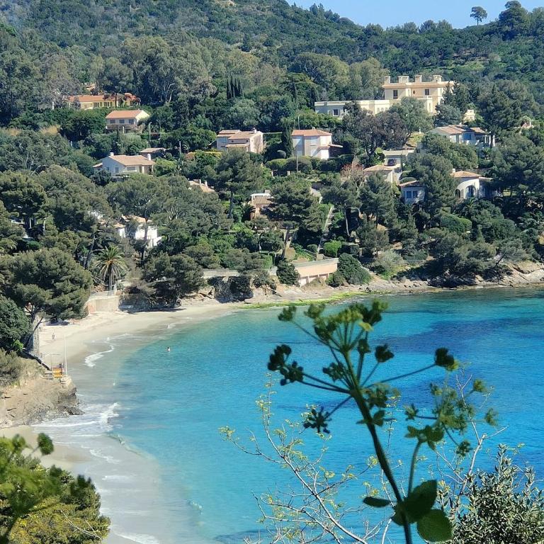 le Lavandou Pramousquier Un coin de paradis 3 étoiles,entre mer et forêt - One-Bedroom Apartment - 18