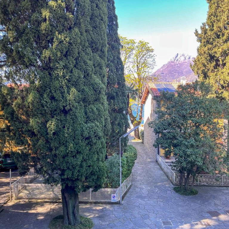 Dada in Varenna - Relaxing Lake House - Appartamento - 25