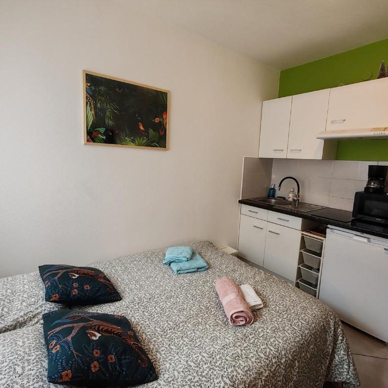 'Tropique' Studette Proche Tram Porte Jeune - Appartamento con 1 Camera da Letto - 14