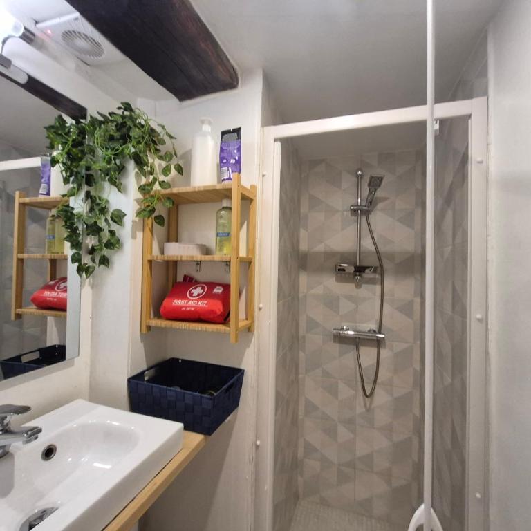T4 Authentique Toulousain Fully equiped- 3bed 5person hypercentre - Apartment mit 3 Schlafzimmern - 17