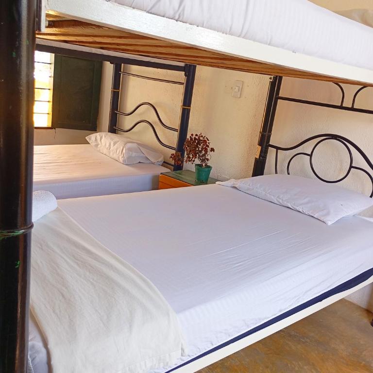 Villa Mary Hostel - Habitación Cuádruple con balcón - 12