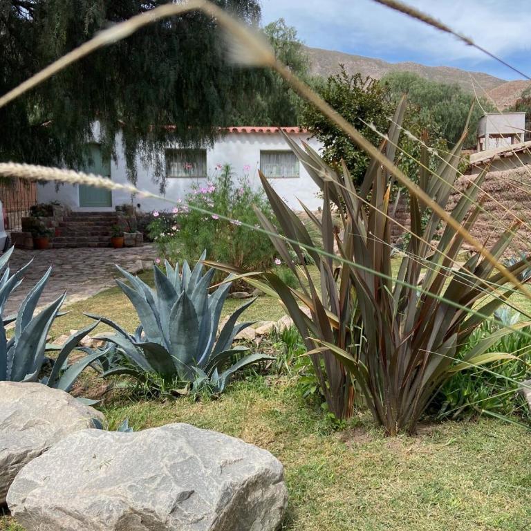 Spacious house with garden and private parking - Three-Bedroom House - 19