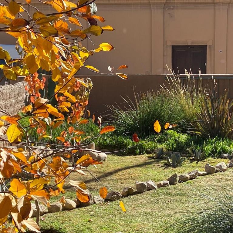 Spacious house with garden and private parking - Three-Bedroom House - 20