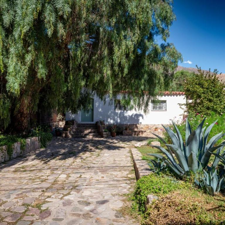 Spacious house with garden and private parking - Three-Bedroom House - 77