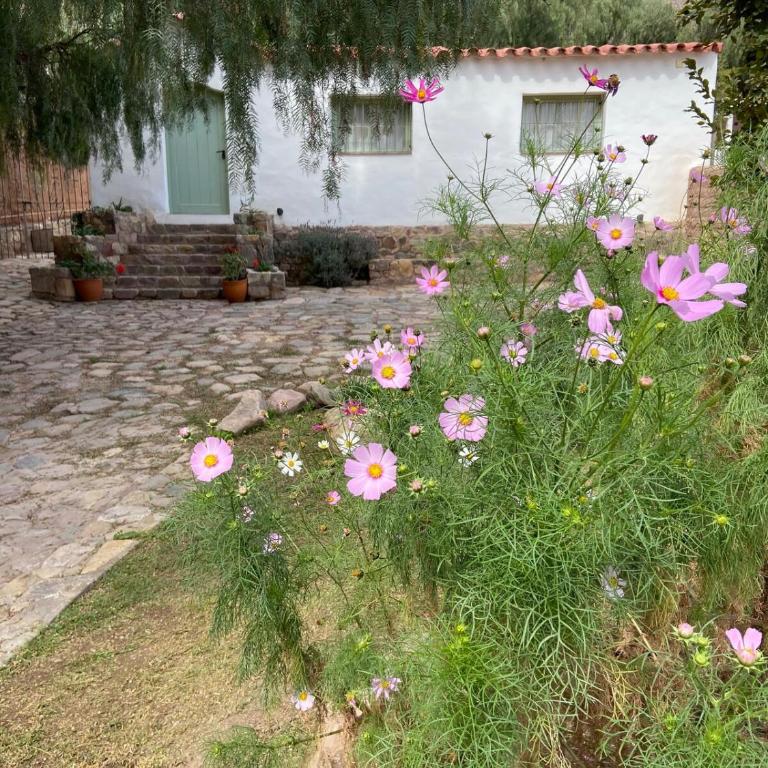 Spacious house with garden and private parking - Three-Bedroom House - 75
