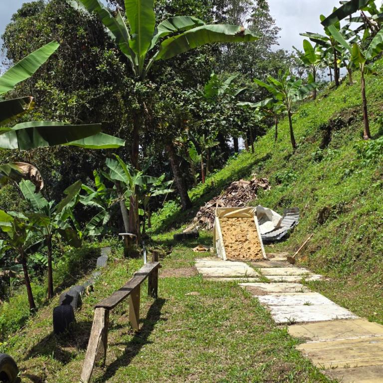 Finca La Tranquilidad - One-Bedroom Villa - 6