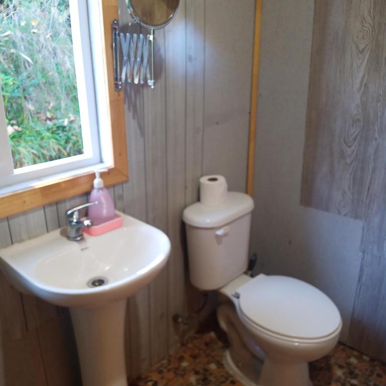 Cabañas Mantilhue Puyehue - One-Bedroom House - 3