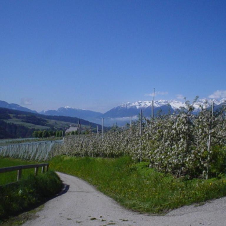 Beautiful apartment in Val di Non - Appartamento con 1 Camera da Letto - 22